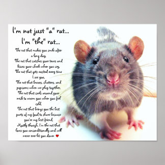 Poster Je ne suis pas juste un rat