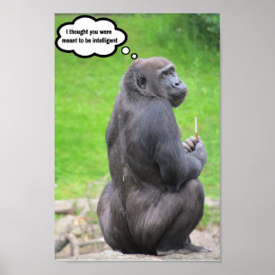 Poster Je pensais que vous étiez censé être intelligent.