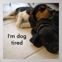 Je suis fatigué par le chien