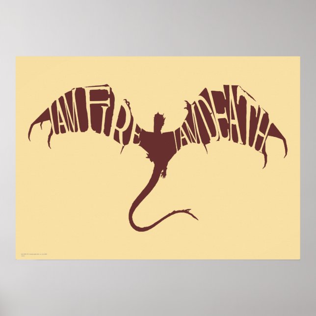 Poster Je Suis Feu Je Suis Mort - Graphique (Devant)