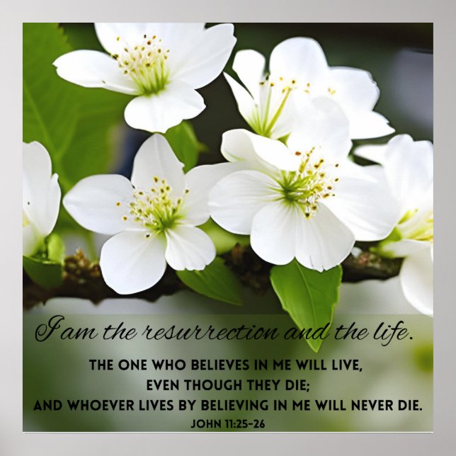 Poster Je Suis La Résurrection Motivationnelle Bible Vers (Devant)