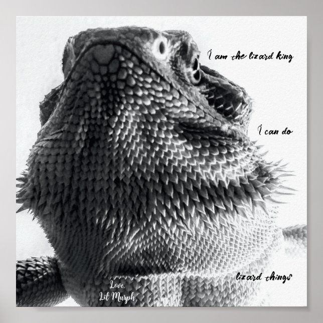 Poster "Je suis le roi lézard" Lézard noir et blanc (Devant)