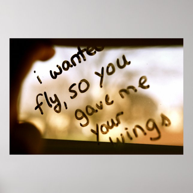 Poster Je Suis Recherché De Voler (Devant)