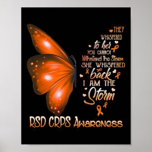 Poster Je Suis Un Papillon De Sensibilisation Aux Crps Rs