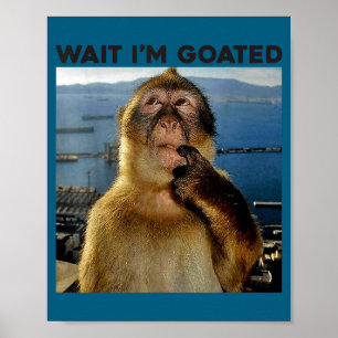 Poster Je suis Wait Goated Singe Pensant Meme