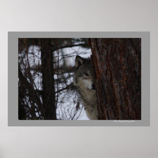 Poster Je Te Vois (Devant)