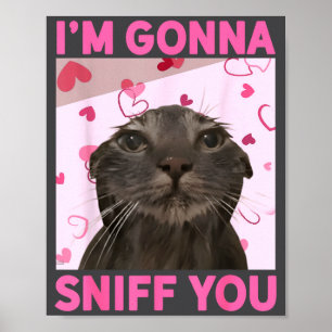 Poster Je vais vous renifler Drôle Brainrot Chats Mème Po
