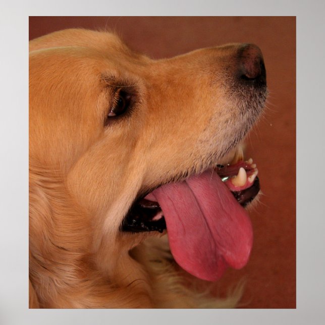 Poster Je Veux Toujours Plus... (Devant)