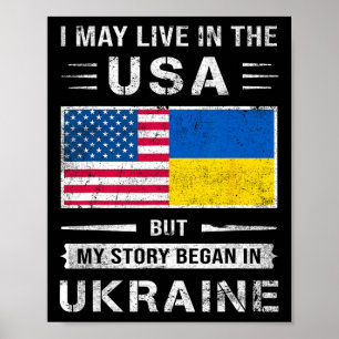 Poster Je vis peut-être aux États-Unis, mais mon histoire