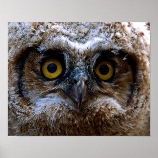 Poster Je vous regarde