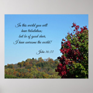 Poster Jean 16:33 Dans le monde vous aurez...