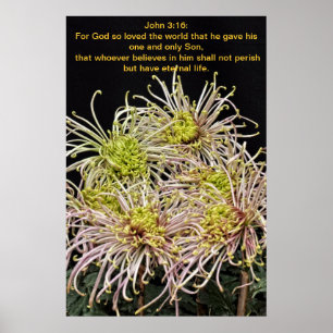 Poster Jean 3:16 Car Dieu a tant aimé le monde