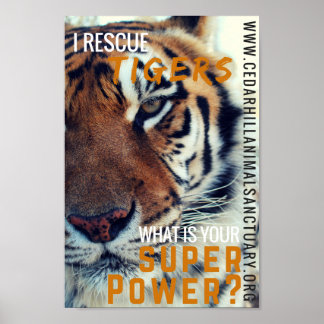 Poster J'économise la super puissance des tigres