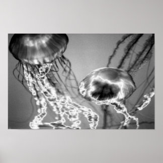 Poster Jellies électriques