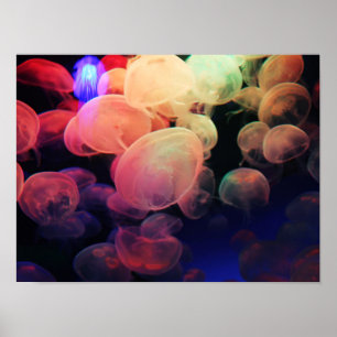 Poster Jelly Love