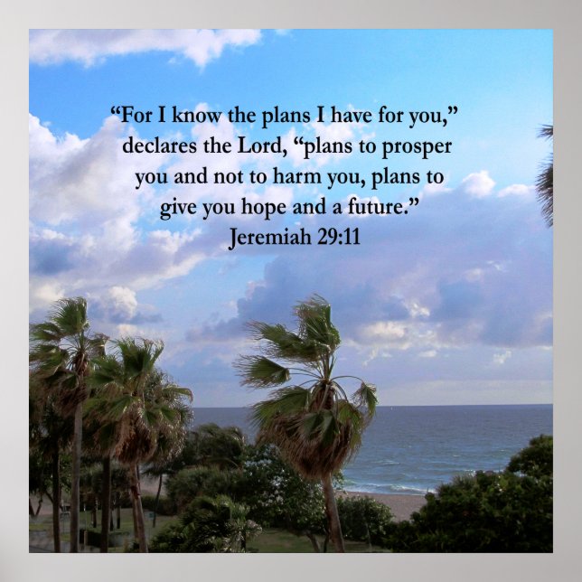 POSTER JEREMIAH 29:11 INSPIRATIONNEL VERSE (Devant)