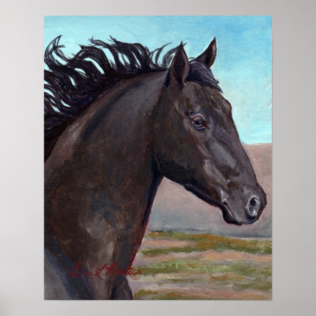 Poster Jet : Bande Stallion Du Bassin De Lavage De Sable (Devant)