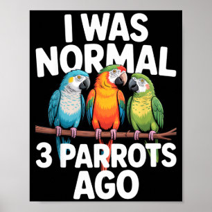 Poster J'étais normal il y a 3 perroquets Amateur d'oisea