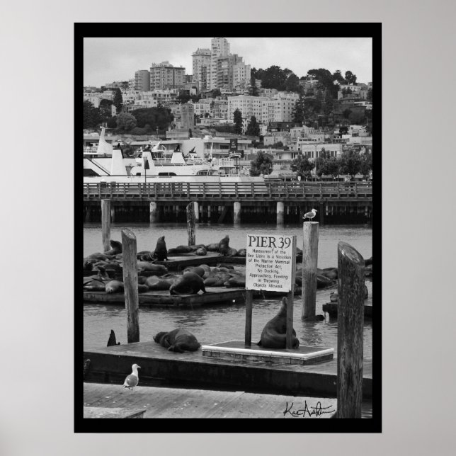 Poster Jetée 39 (Devant)