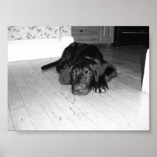 Poster Jett sur bois dur