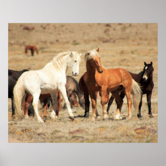 Poster Jeu d'alimentation