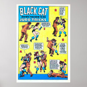 Poster Jeu de chat noir