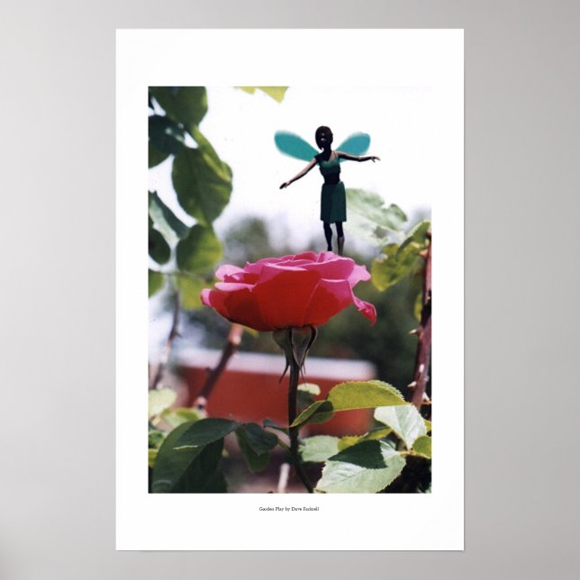 Poster Jeu de jardin (Devant)