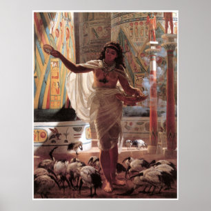 Poster Jeune fille alimentant les Ibises sacrés chez