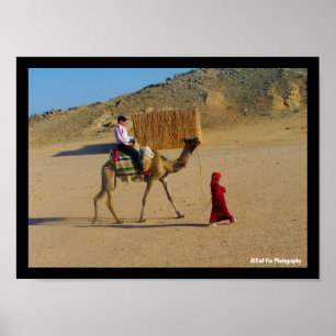 Poster Jeune Fille Avec Chameau