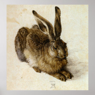 Poster "Jeune lièvre" par Albrecht Dürer