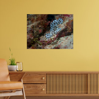 Poster Jeune Mérou - Jeune poisson occupé sur un récif co
