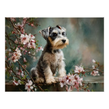 Jeune schnauzer parmi les fleurs de cerisier print