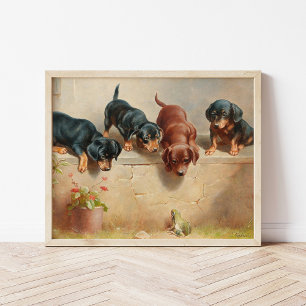 Poster Jeunes Chiens Dachshund Curieux   Carl Reichert