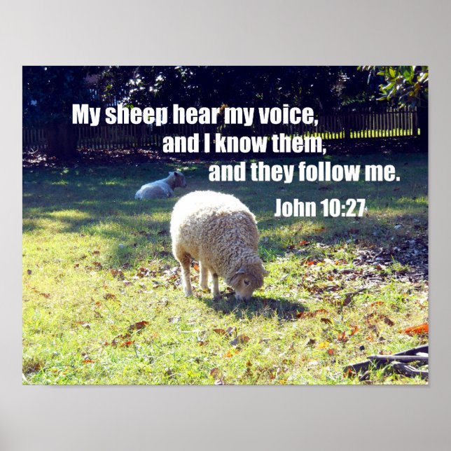 Poster John 10:27 (Devant)