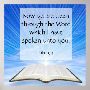 Poster John 15:3