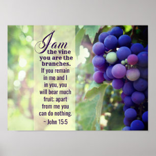 Poster John 15:5 I Am the Vine You are the Branches Bible