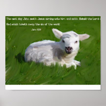 John 1:29