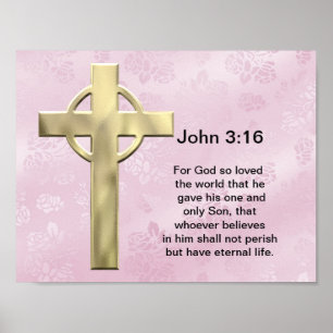 Poster John 3:16 (rose)