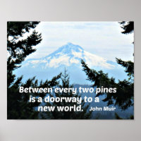 John Muir : "Entre deux pins est une porte"