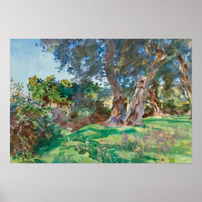 Poster John Singer Sargent - Olive Trees, Corfou (Devant)