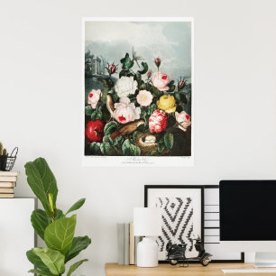 Poster John Thornton Roses du Temple de Flora