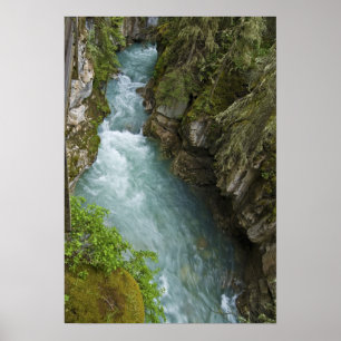 Poster Johnston Canyon