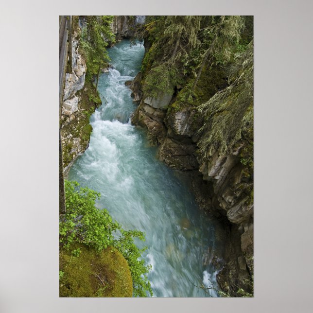 Poster Johnston Canyon (Devant)