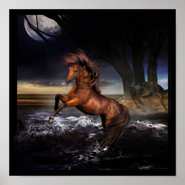 Poster Joie pure.... (Devant)