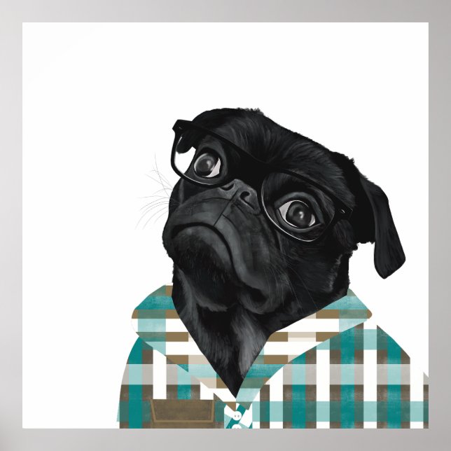 Poster Joli Carlin Noir Avec Lunettes Et Chemise (Devant)