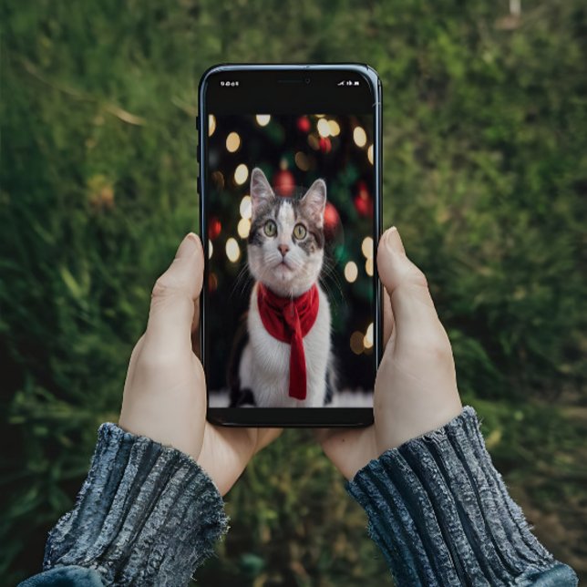 Poster Joli chat de Noël avec un arc (Créateur téléchargé)