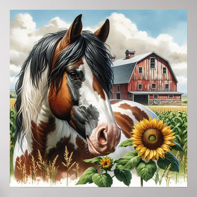 Poster Joli cheval tacheté et grange rustique (Devant)