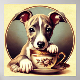 Poster Joli chiot Whippet