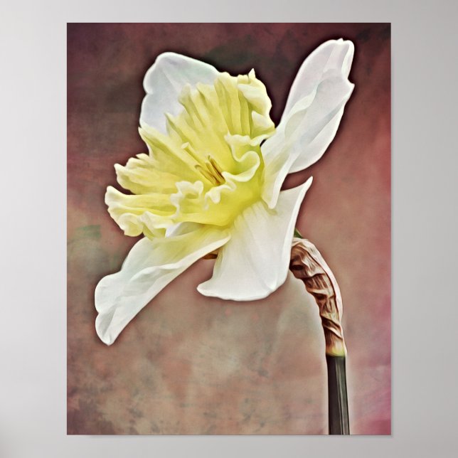 Poster Joli Daffodique Fleur Photographie Imprimer (Devant)