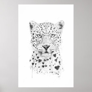 Poster Joli léopard